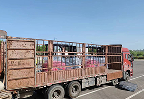 electric forklift truck shipped to Philippine